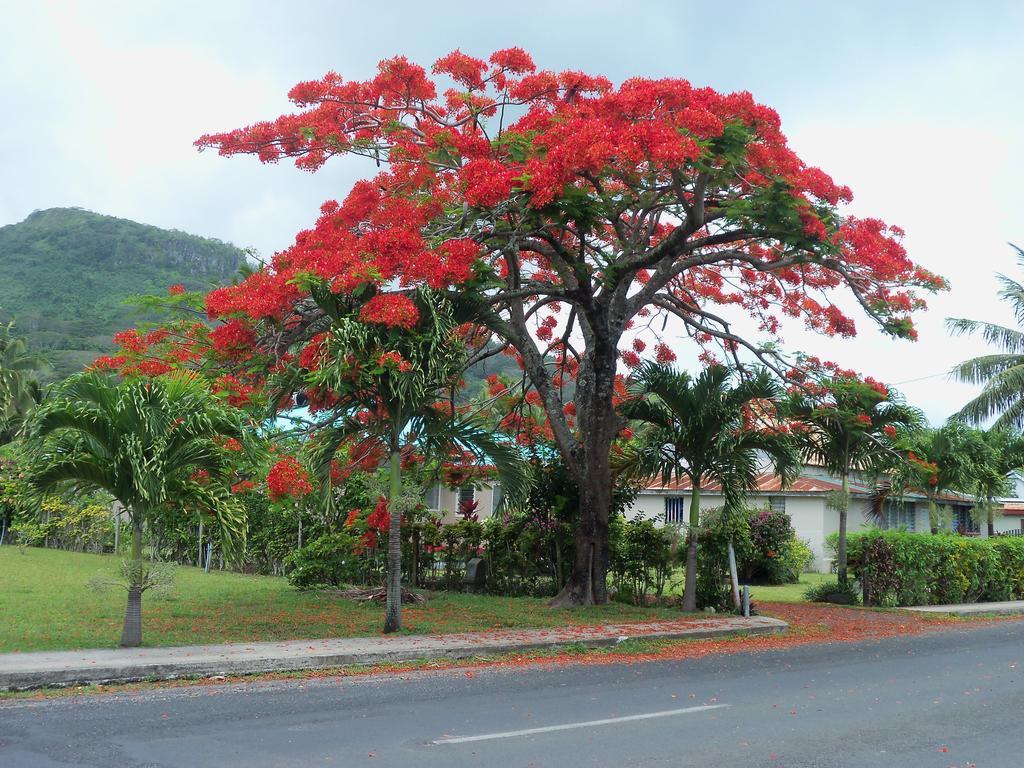 Coral Sands Apartments Rarotonga Extérieur photo