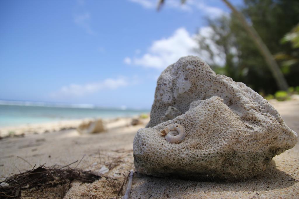 Coral Sands Apartments Rarotonga Extérieur photo
